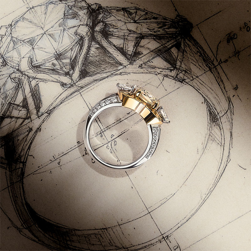 pac_bdf_art_cou_300_dem_bla_6-3