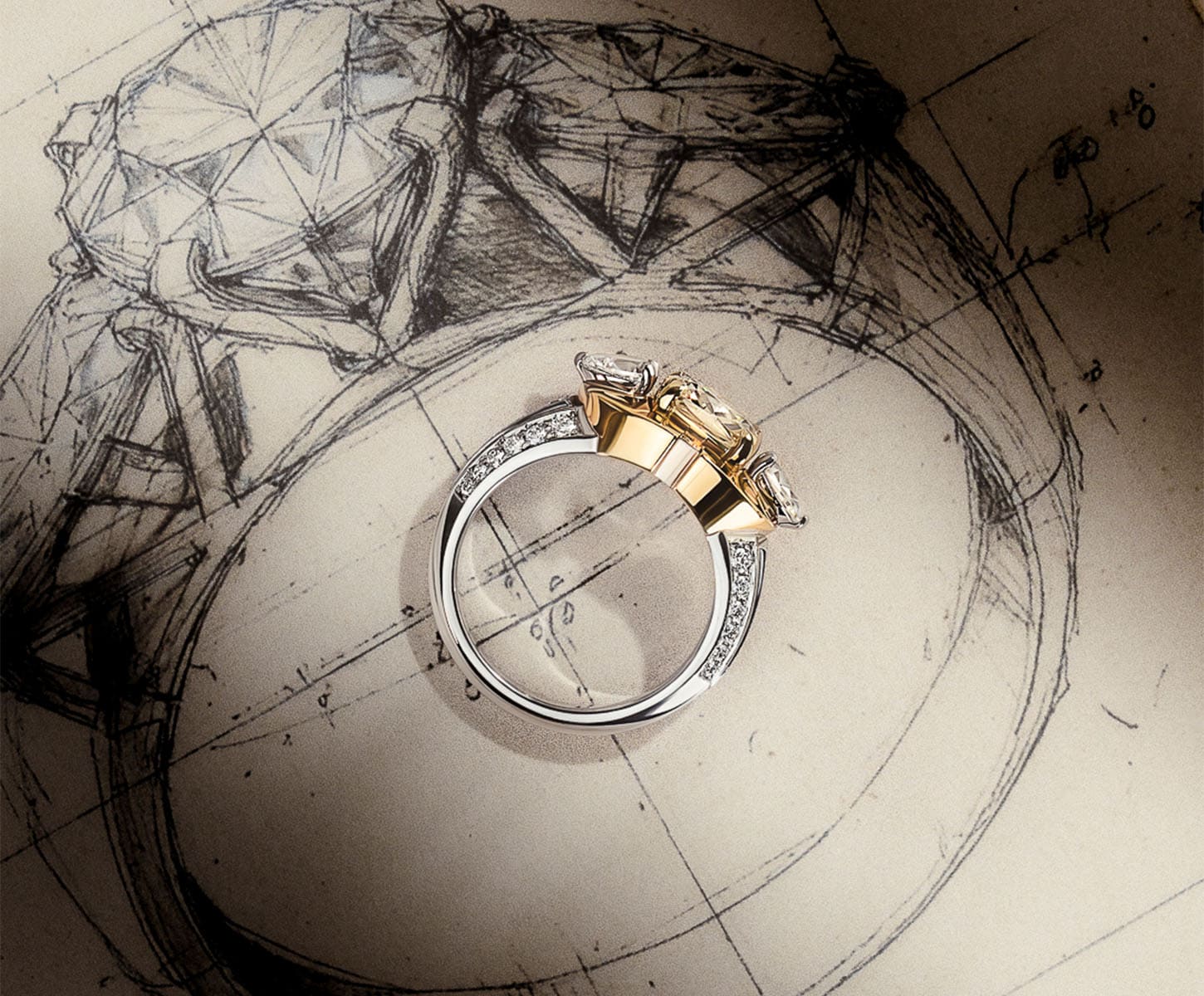 pac_bdf_art_cou_300_dem_bla_6_desktop