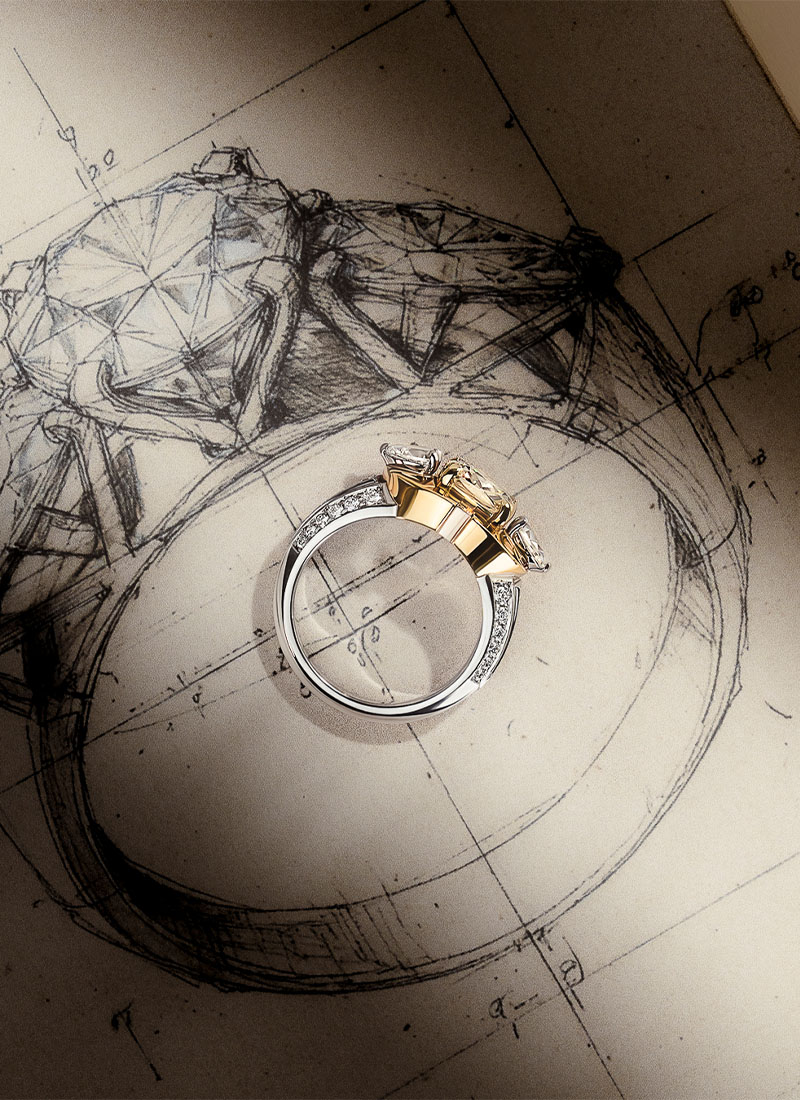 pac_bdf_art_cou_300_dem_bla_6_mobile